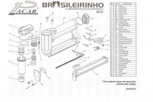Grampeador Pacar Brasileirinho Grampeador Pacar Brasileirinho